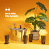 Grey Prism Tumblers - Set of 4